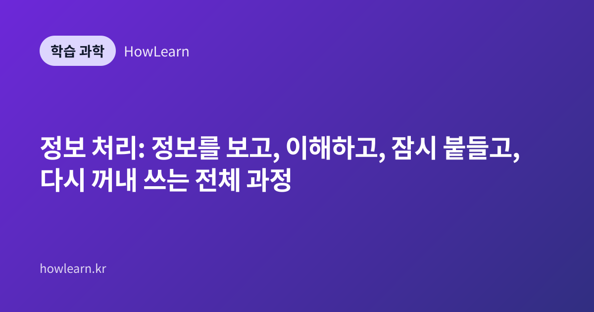정보 처리: 정보를 보고, 이해하고, 잠시 붙들고, 다시 꺼내 쓰는 전체 과정